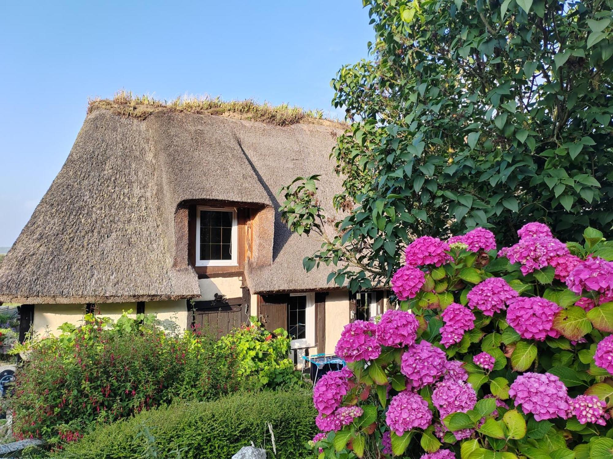 Villa La Maraiquaise Marais-Vernier Exterior foto